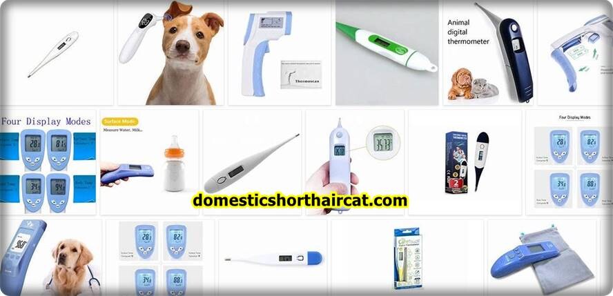 Icare Pet Thermometer review