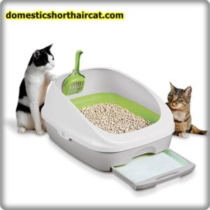 Pee-Wee-Cat-Litter-System-4-300x300 Pee Wee Cat Litter System 