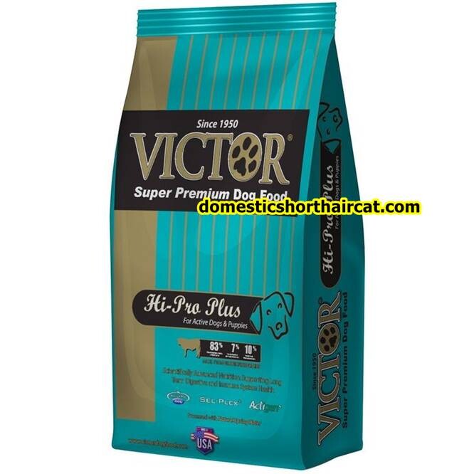 Victor-Dog-Food-2 Victor Dog Food Review - Where To Buy Victor Dog Food?  