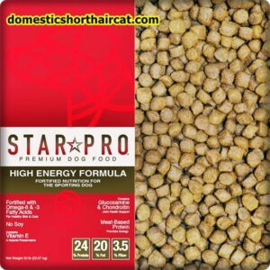 star-pro-dog-food-1-300x300 Star Pro Dog Food Review - Where To Buy? 