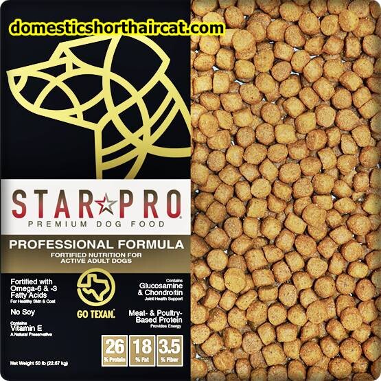 star-pro-dog-food-2 Star Pro Dog Food Review - Where To Buy?  